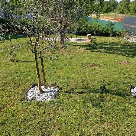 Apartman Jenny-Porec Kosinozici Exteriör bild