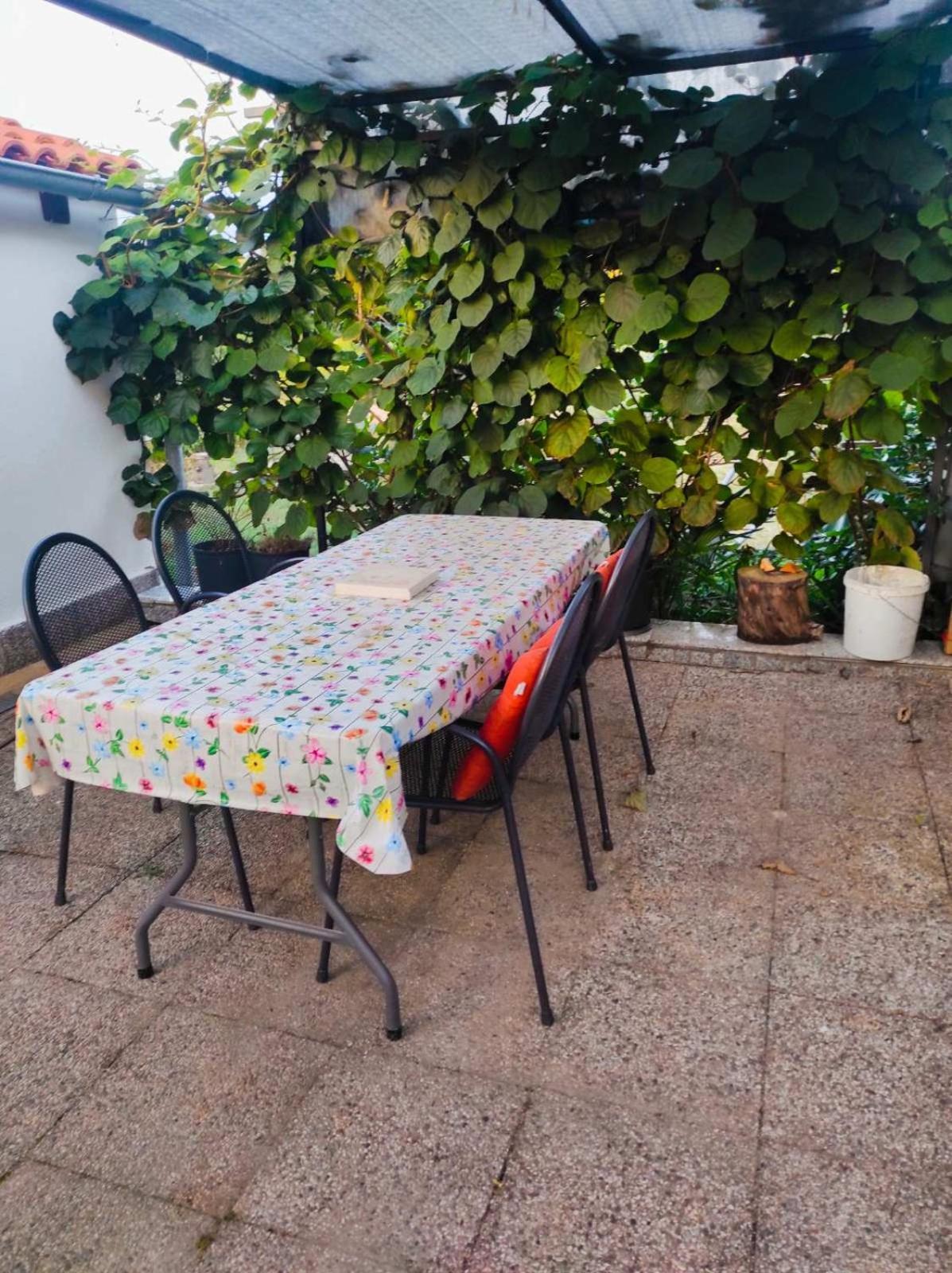 Apartman Jenny-Porec Kosinozici Exteriör bild