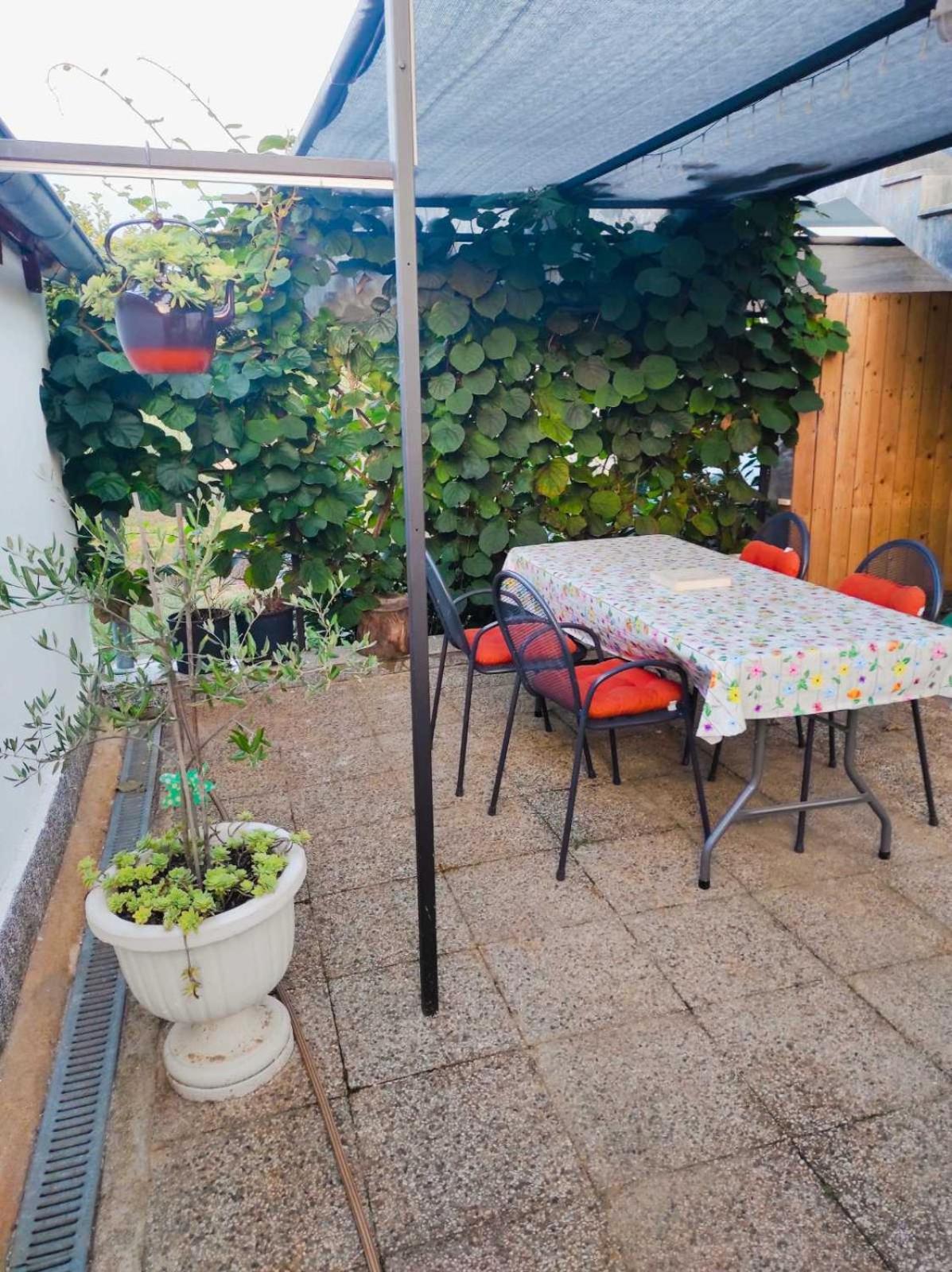 Apartman Jenny-Porec Kosinozici Exteriör bild