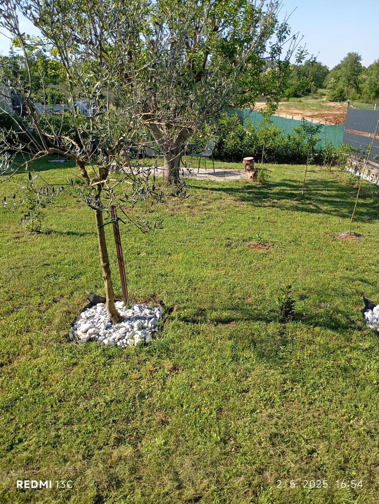 Apartman Jenny-Porec Kosinozici Exteriör bild